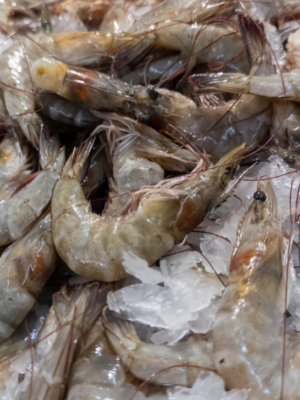 Jumbo Prawns