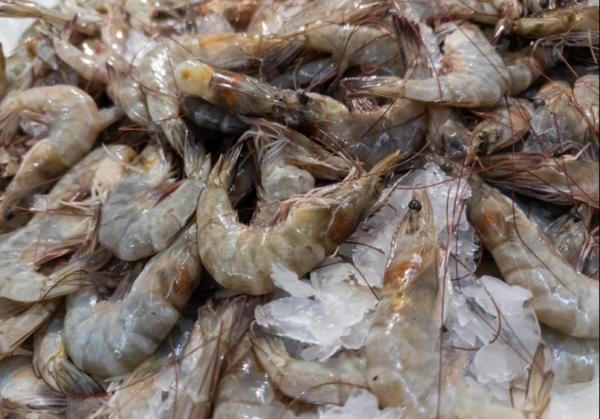 Jumbo Prawns